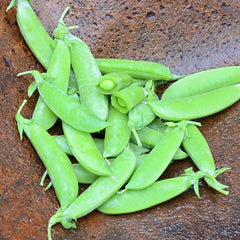 Super Sugar Snap Pea