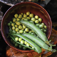 Lincoln Pea