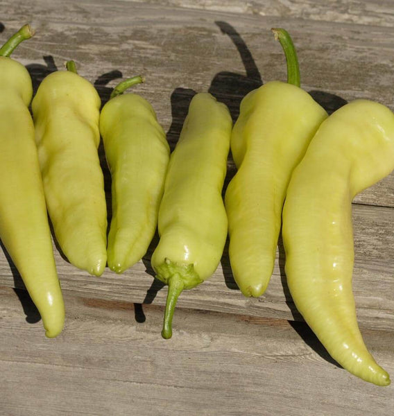 Hungarian Hot Wax
