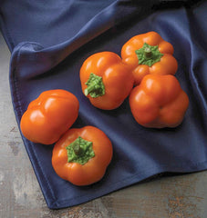 Orange You Sweet