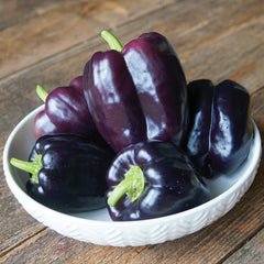 Dragonfly Pepper