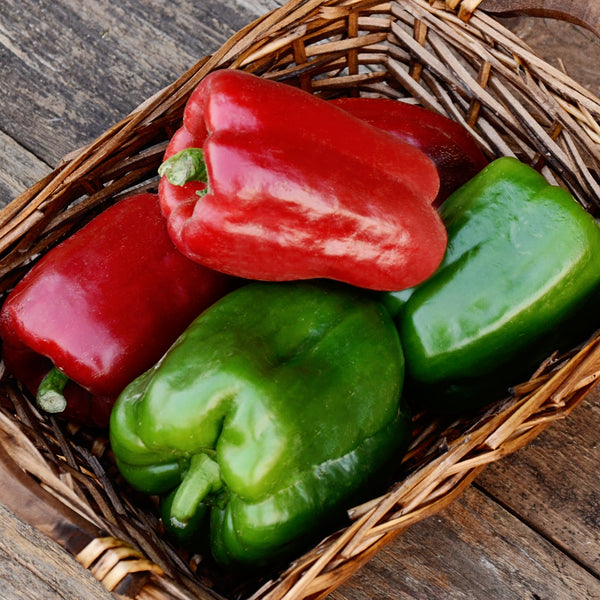 California Wonder 300 Pepper