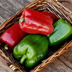 California Wonder 300 Pepper