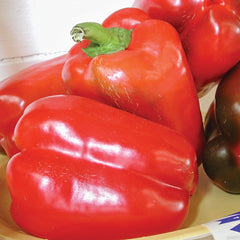 California Wonder 300 Pepper