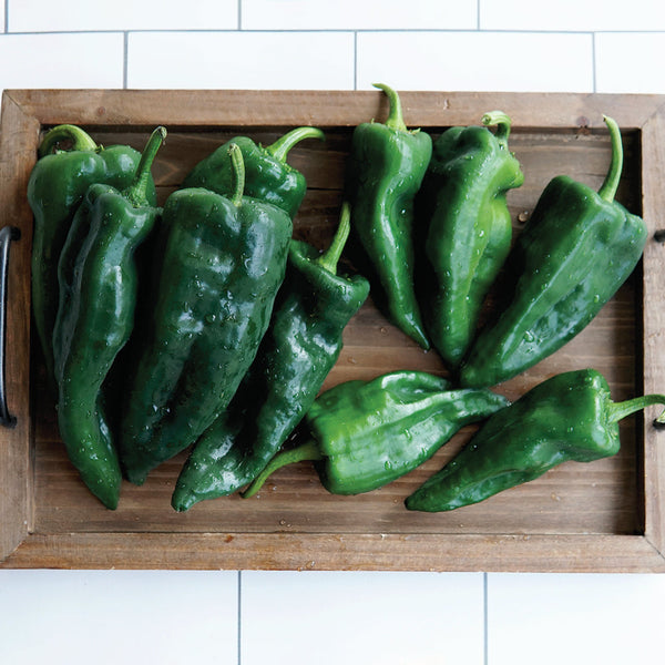 Trident Pepper