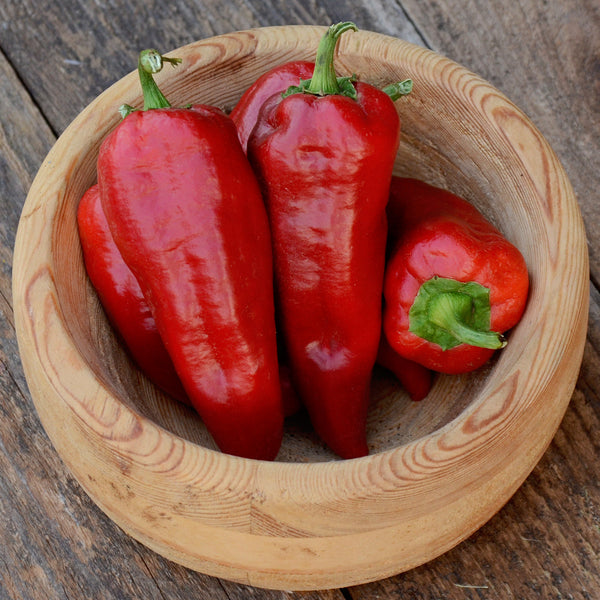 Italian Sweet Pepper