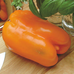 Gourmet Pepper