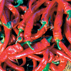 Jimmy Nardello's Pepper