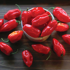 Primero Red Pepper