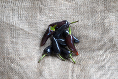 Hungarian Black Organic