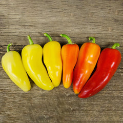 Cozumel Pepper