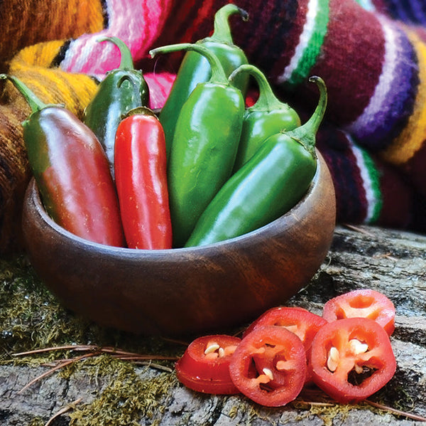 Early Jalapeño Pepper