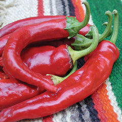 Anaheim College 64 Pepper