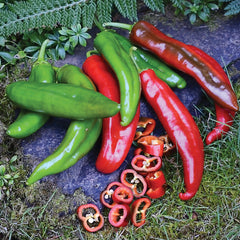 Anaheim College 64 Pepper