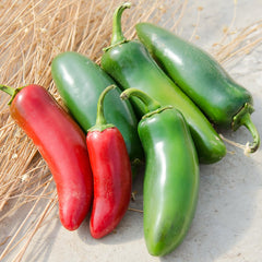 La Bomba II Pepper
