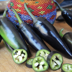 Purple Jalapeño Pepper