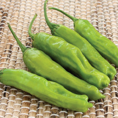 Takara Pepper