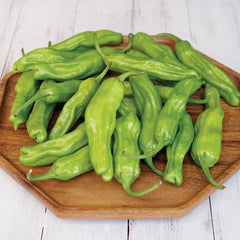 Takara Pepper