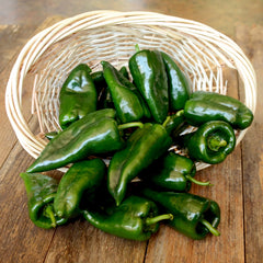 Bastan Pepper