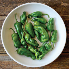 Padrón Pepper