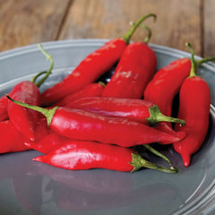 Aji Rico Pepper