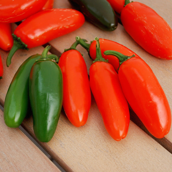 Orange Spice Pepper