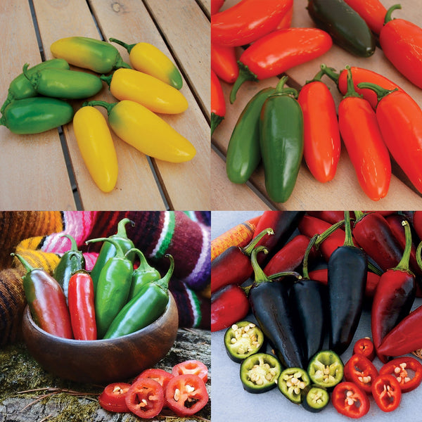 Poppin' Jalapeño Party Pepper