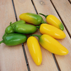 Lemon Spice Pepper