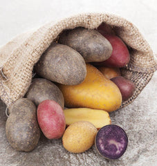 Potato Mix Organic - Seedsplant