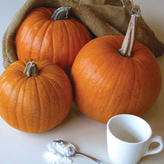 Small Sugar Pumpkin
