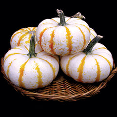 Lil' Pump-Ke-Mon Pumpkin