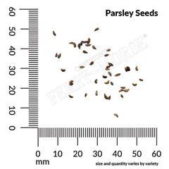 Parsley, Flat Italian Organic Seeds, 1.2g