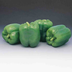Pepper, Garden Leader Monster Bell Seeds, 200mg