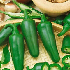 Pepper, Jalapeno Early Organic Seeds, 400mg