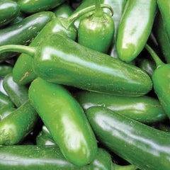 Pepper, Jalapeno Mild Organic Seeds, 400mg