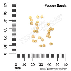 Pepper, Serrano Organic Seeds, 400mg