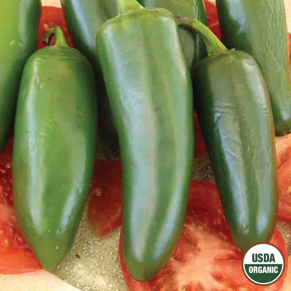 Pepper, Serrano Organic Seeds, 400mg
