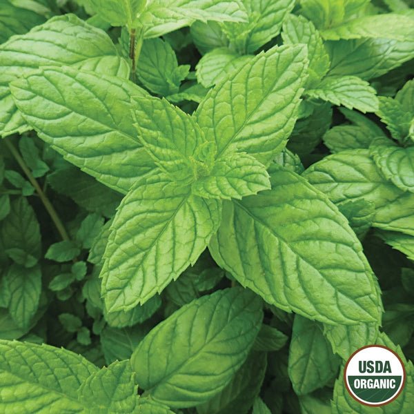 Peppermint Organic Seeds, 200mg