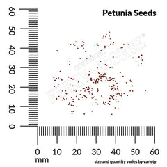 Petunia, Dwarf Bedding Mixed Colors Seeds, 200mg