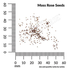 Portulaca, Moss Rose Double Mixed Colors Seeds, 300mg