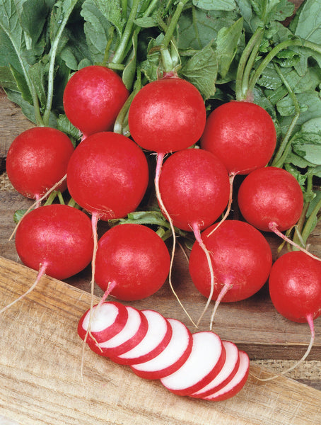Cherry Belle Seed Tape