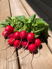 Raxe Organic - Seedsplant