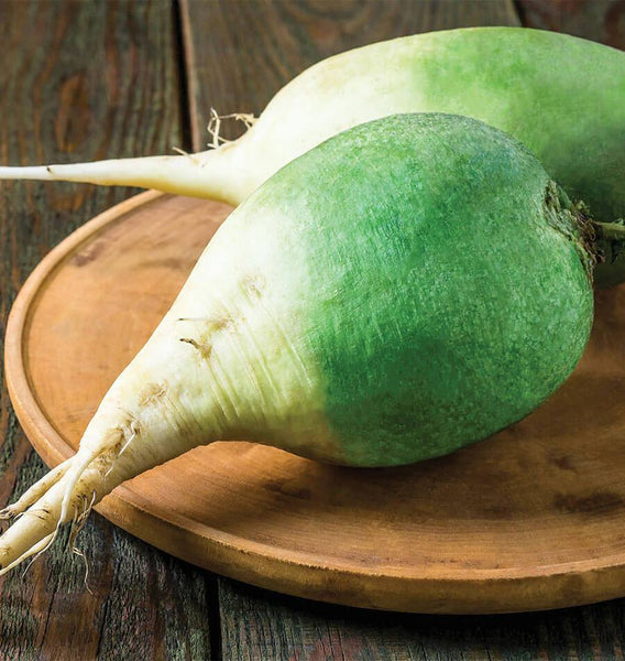 Wasabi Radish