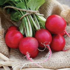 Cherry Belle Radish