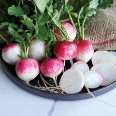 Red Head Radish