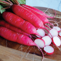 Dragon Radish