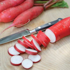 Dragon Radish