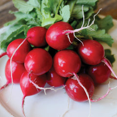 Roxanne Radish