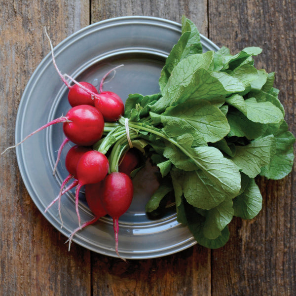 Crunchy Crimson Radish