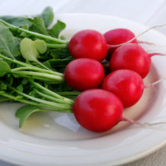 Crunchy Crimson Radish
